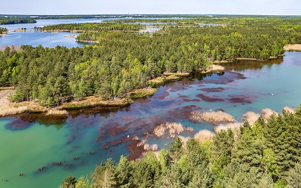 Naturgeschütze Insel im Senftenberger See, Foto: Szymon Nitka, Lizenz: Szymon Nitka