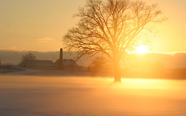 Winter, Foto: Jann Barkemeyer, Lizenz: Vielfruchthof Domstiftsgut Mötzow