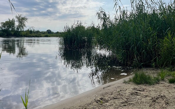 Kanurastplatz Göttlin-Powerlanke, Foto: Claudia Hesse, Lizenz: Naturpark Westhavelland