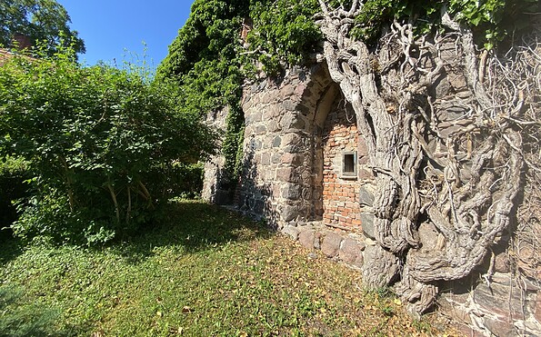 Cistercian Monastery: Monastery Garden, Foto: Elisabeth Kluge, Lizenz: Tourist-Information Zehdenick