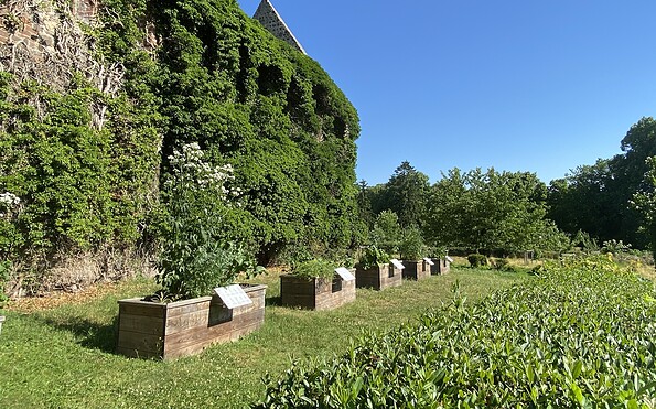 Cistercian Monastery: Raised garden Beds , Foto: Elisabeth Kluge, Lizenz: Tourist-Information Zehdenick