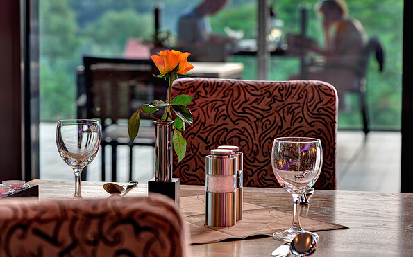 Wintergarten, Foto: ArtHotel Kiebitzberg, Lizenz: ArtHotel Kiebitzberg