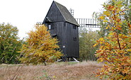Bockwindmühle Prietzen , Foto: Tourismusverband Havelland e.V., Lizenz: Tourismusverband Havelland e.V.