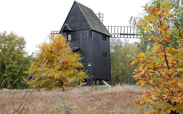 Bockwindmühle Prietzen , Foto: Tourismusverband Havelland e.V., Lizenz: Tourismusverband Havelland e.V.