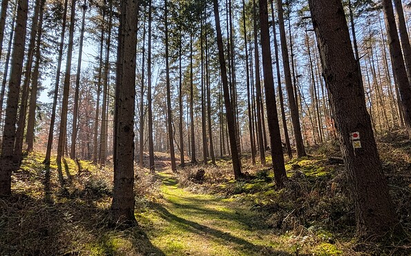 Wanderweg Kuhdrift vor Naugarten, Foto: Merith Sommer
