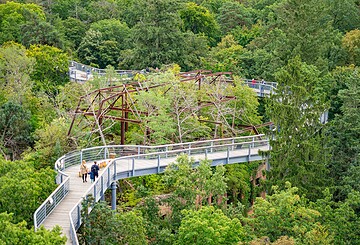 Baum&Zeit Baumkronenpfad, Foto: Annabell Bartels, Lizenz: Tourismusverband Fläming e.V.