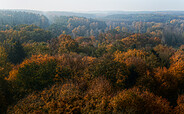 Blick vom Butterturm, Foto: Jürgen Rocholl, Lizenz: Naturparkverein Hoher Fläming e.V.