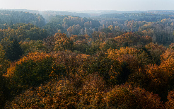 Blick vom Butterturm, Foto: Jürgen Rocholl, Lizenz: Naturparkverein Hoher Fläming e.V.