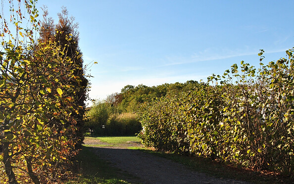 Herbststimmung auf dem Campingplatz Mahlow, Foto: Tom Loos, Lizenz: Tom Loos