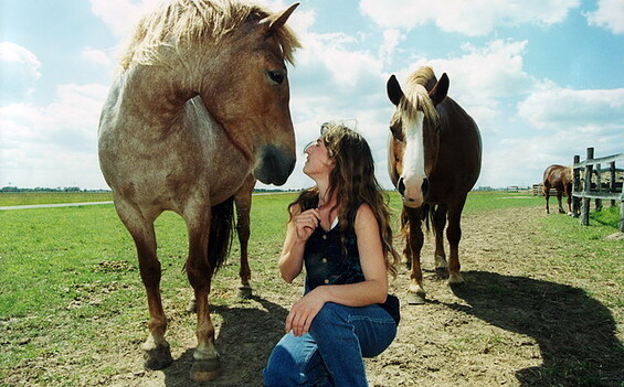 auf der Weide, Foto: Stutenmilchfarm Grüne Oase GmbH, Lizenz: Stutenmilchfarm Grüne Oase GmbH