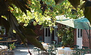 Idyllische weinberankte Hofterrasse, Foto: Alte Försterei, Foto: Alte Försterei , Lizenz: Alte Försterei