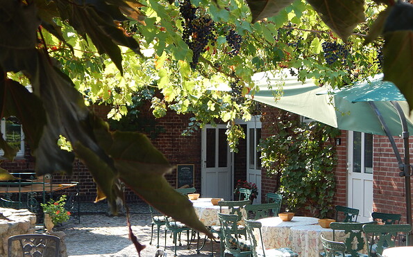 Idyllische weinberankte Hofterrasse, Foto: Alte Försterei, Foto: Alte Försterei , Lizenz: Alte Försterei