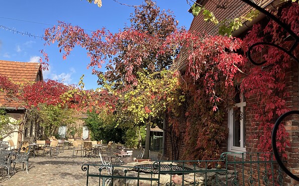 Innenhof im Herbstlaub , Foto: Alte Försterei Kloster Zinna , Lizenz: Alte Försterei Kloster Zinna