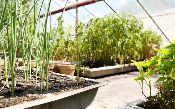 Hotel Reuner Zossen, Foto: C. Weisser, Lizenz: C. Weisser, TVF