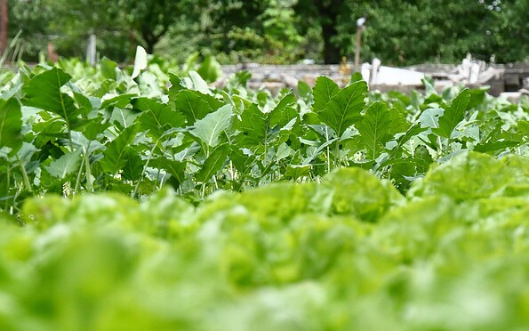 Hotel Reuner Zossen, Foto: C. Weisser, Lizenz: C. Weisser, TVF