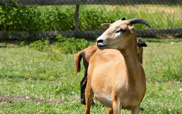 Hotel Reuner Zossen, Fotos: C. Weisser, TVF, Foto: C. Weisser, Lizenz: C. Weisser, TVF