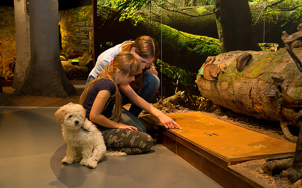 Naturerlebnis mit der ganzen Familie im Müritzeum, Foto: Mirko Runge, Lizenz: Müritzeum gGmbH