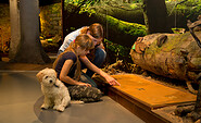Naturerlebnis mit der ganzen Familie im Müritzeum, Foto: Mirko Runge, Lizenz: Müritzeum gGmbH