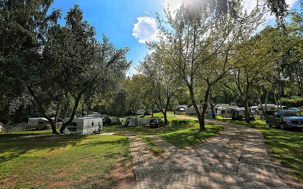 Blütencamping Riegelspitze - Stellplätze, Foto: Gianna Meyer, Lizenz: Gianna Meyer