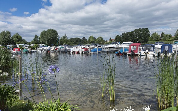 Blütencamping Riegelspitze, Foto: Steffen Lehmann, Lizenz: TMB