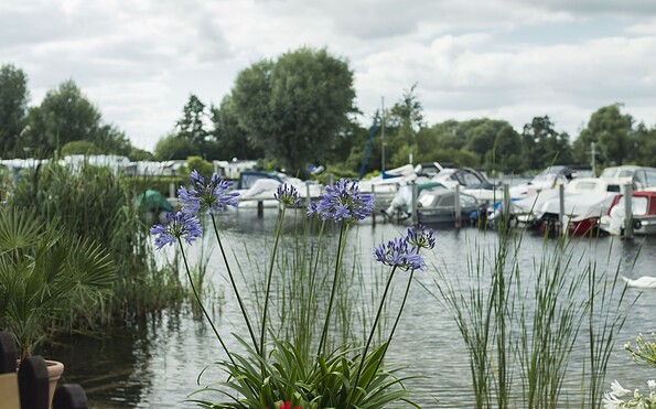 Blütencamping Riegelspitze, Foto: Steffen Lehmann, Lizenz: TMB
