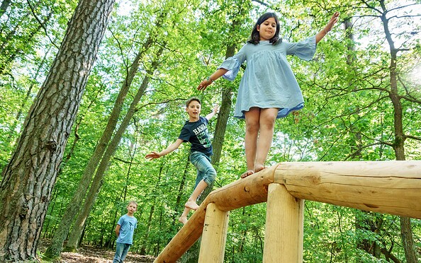 Balance-Stamm, Foto: Barfußpark Beelitz-Heilstätten, Lizenz: Barfußpark Beelitz-Heilstätten