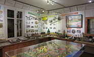 Stadtgeschichte, Foto: Peter Jaeckel