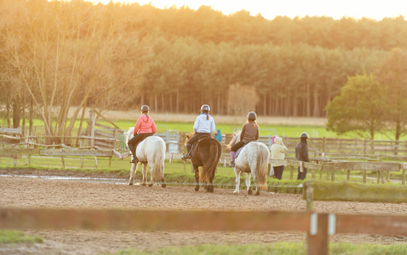 Auf dem Reitplatz, Foto: Hans Sachs, Lizenz: Reiter- &amp; Erlebnisbauernhof Groß Briesen