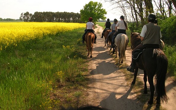 Ausritt, Foto: Hans Sachs, Lizenz: Reiter- &amp; Erlebnisbauernhof Groß Briesen