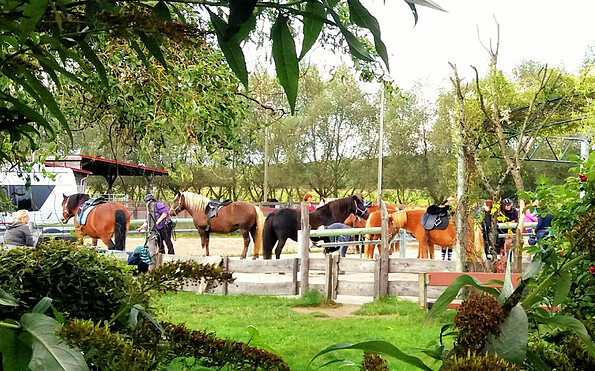 Blick auf den Putzplatz, Foto: Hans Sachs, Lizenz: Reiter- &amp; Erlebnisbauernhof Groß Briesen