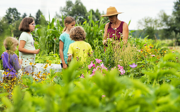 Aktionen im Sommer, Foto: Hans Sachs, Lizenz: Reiter- &amp; Erlebnisbauernhof Groß Briesen