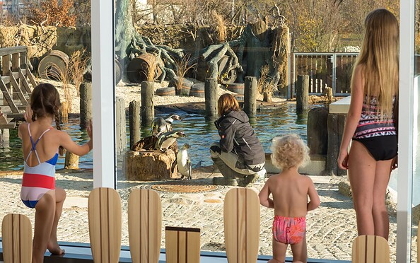 Spreewelten Bad Lübbenau, Foto: Spreewelten GmbH