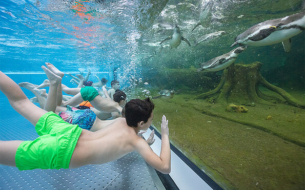 Spreewelten Bad Lübbenau, Foto: Spreewelten GmbH