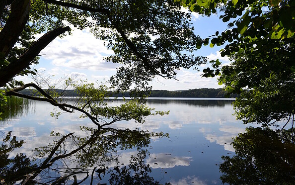 Wolletzsee, Foto: Matthias Schäfer, Lizenz: TMB