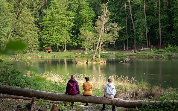 Teufelssee, Foto: Bad Freienwalde Tourismus GmbH_ Florian Läufer , Lizenz: Bad Freienwalde Tourismus GmbH_ Florian Läufer