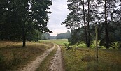 Biesdorfer Kehlen, Foto: Seenland Oder-Spree / Moritz Weiland , Lizenz: Seenland Oder-Spree / Moritz Weiland