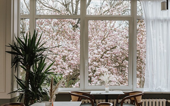 Aussicht nach Draußen, Foto: Hieu Le, Lizenz: Yu-Mi GmbH - Tempelgarten Restaurant