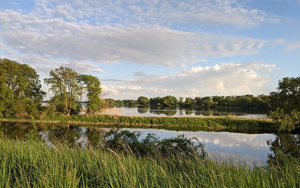 The River Elbe near Lenzen, Foto: Ramona Kesch, Lizenz: TMB