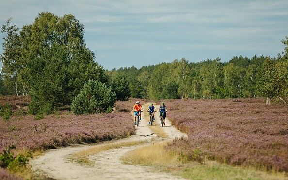 A family on a bike ride through the heathland, Foto: Julia Nimke, Lizenz: TMB