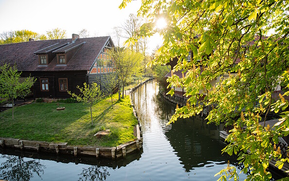 Spreewald, Foto: Steffen Lehmann, Lizenz: TMB