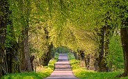 Avenue to Hellsee, Foto: Frank Liebke, Lizenz: TMB
