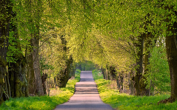 Avenue to Hellsee, Foto: Frank Liebke, Lizenz: TMB