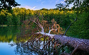 Lake Hellsee near Lanke, Foto: Frank Liebke, Lizenz: TMB