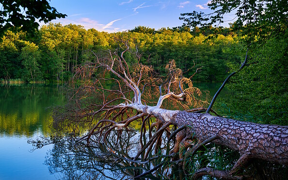 Lake Hellsee near Lanke, Foto: Frank Liebke, Lizenz: TMB