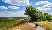 Cyclists in Ukermark, Foto: Szymon Nitka, Lizenz: TMB