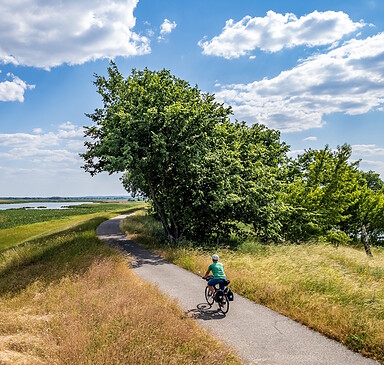 Cyclists in Ukermark, Foto: Szymon Nitka, Lizenz: TMB