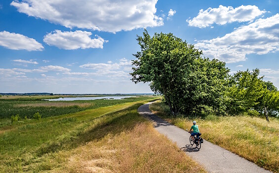 Cyclists in Ukermark, Foto: Szymon Nitka, Lizenz: TMB