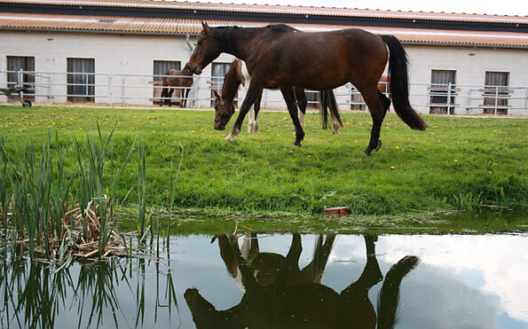 Wohnmobilstellplatz und Ferienwohnungen auf dem Pferde- und Ferienhof Schörfke, Foto: Schörfke, Lizenz: Tourismusverband Prignitz e.V.