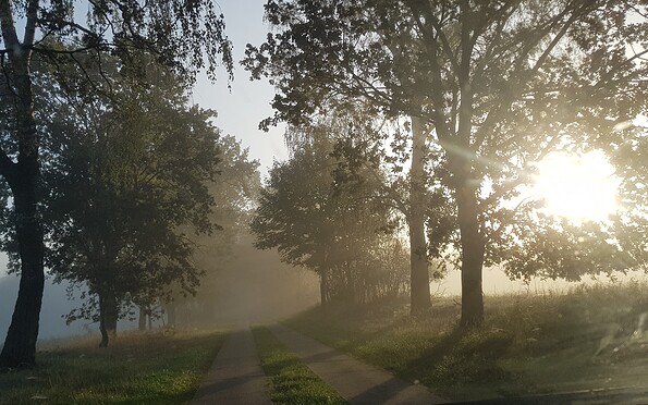 Radwanderungen, Foto: Müller, Lizenz: Müller