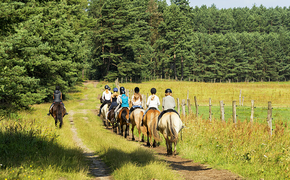 Ausritt im Sommer , Foto: Hans Sachs, Lizenz: Reiter- &amp; Erlebnisbauernhof Groß Briesen GmbH